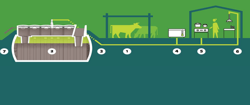 National Biogas Programme Evaluation – Rwanda